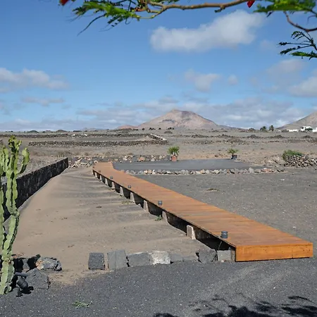 Pitaya * Arrecife (Lanzarote)